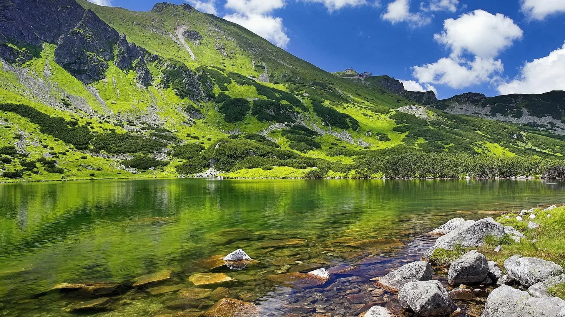 Kashmir Tour Packages